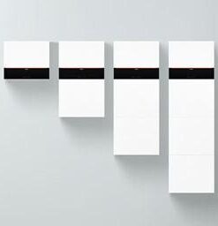 Viessmann Vitocharge