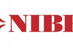 Logo Nibe
